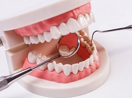 Dentist Sandy